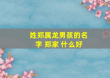 姓郑属龙男孩的名字 郑家 什么好